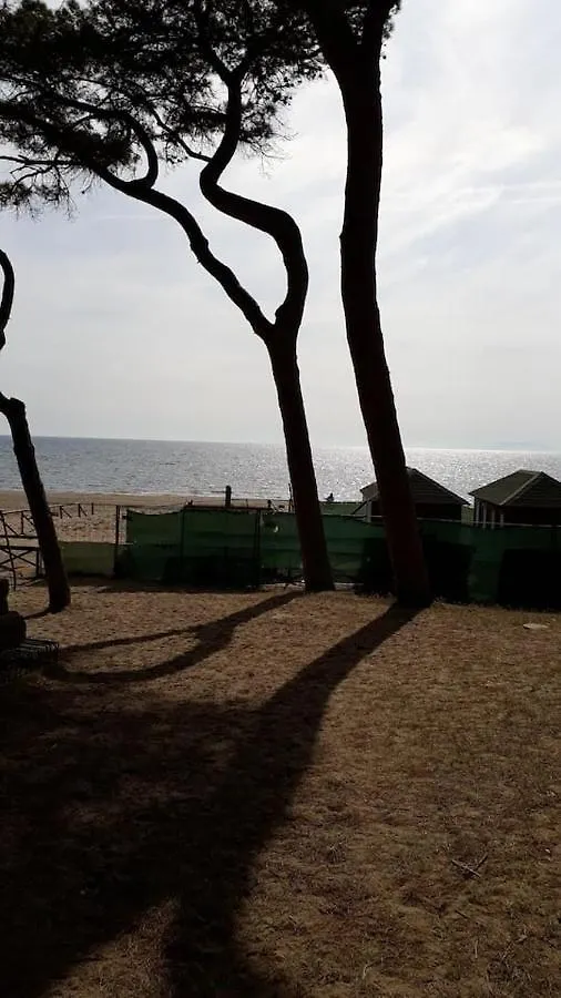 Appartamento Un mare di relax Follonica 0*,